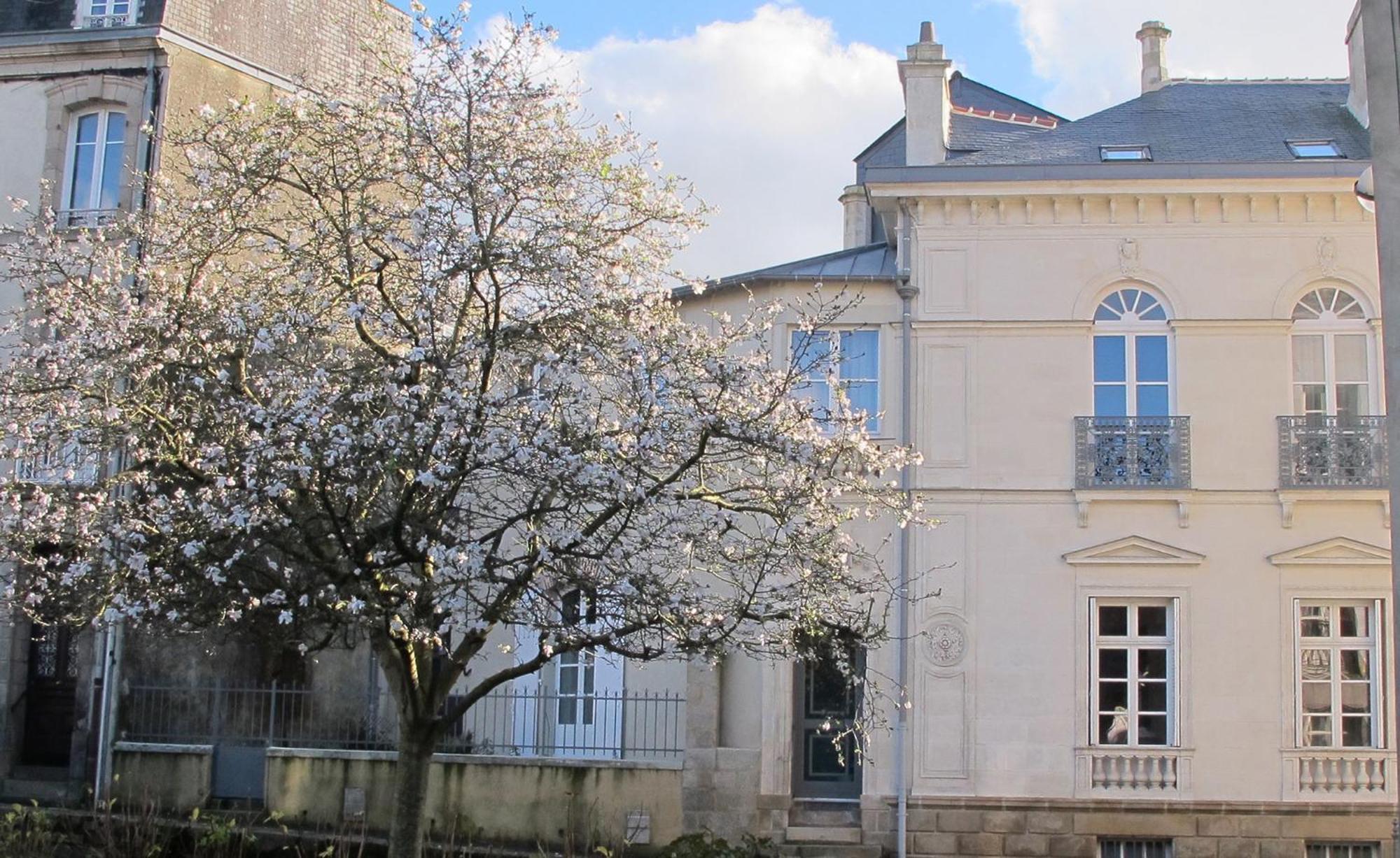 Une Suite A Vannes Eksteriør bilde